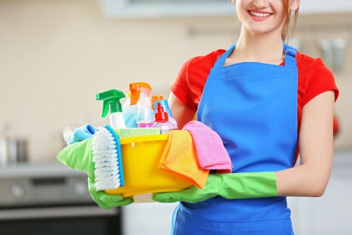 Deep cleaning service for a BR1 home kitchen and living area