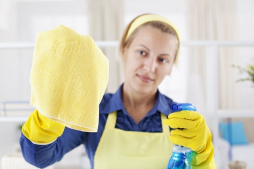 One off cleaning service for a BR1 home interior