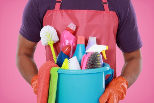 Cleaner in BR1 providing domestic cleaning in a Bromley home