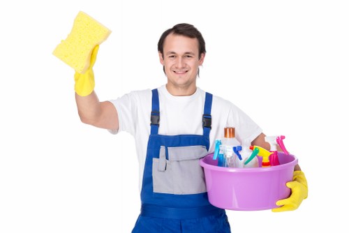 Detailed cleaning of desks, floors, and office kitchens in BR1