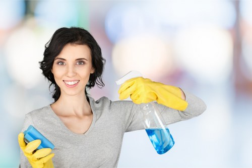 Commercial cleaning service for a BR1 office or business premises