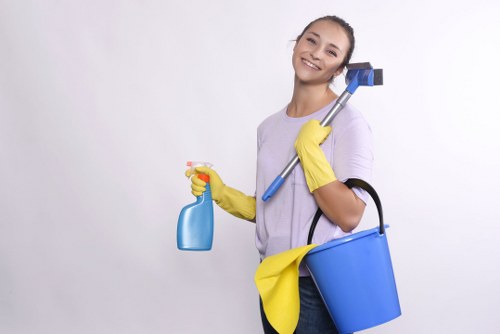 Cleaner assessing carpet condition and room hazards before work begins