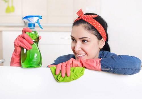 Deep cleaning a family sofa in a BR1 property