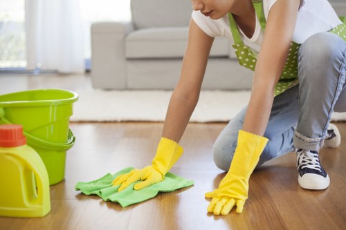 House cleaning for a flat in BR1 with careful attention to floors and surfaces