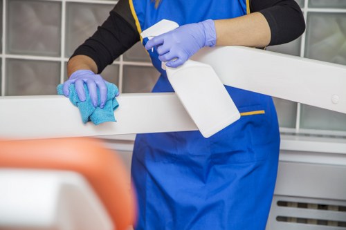 Professional window cleaning equipment for local BR1 properties
